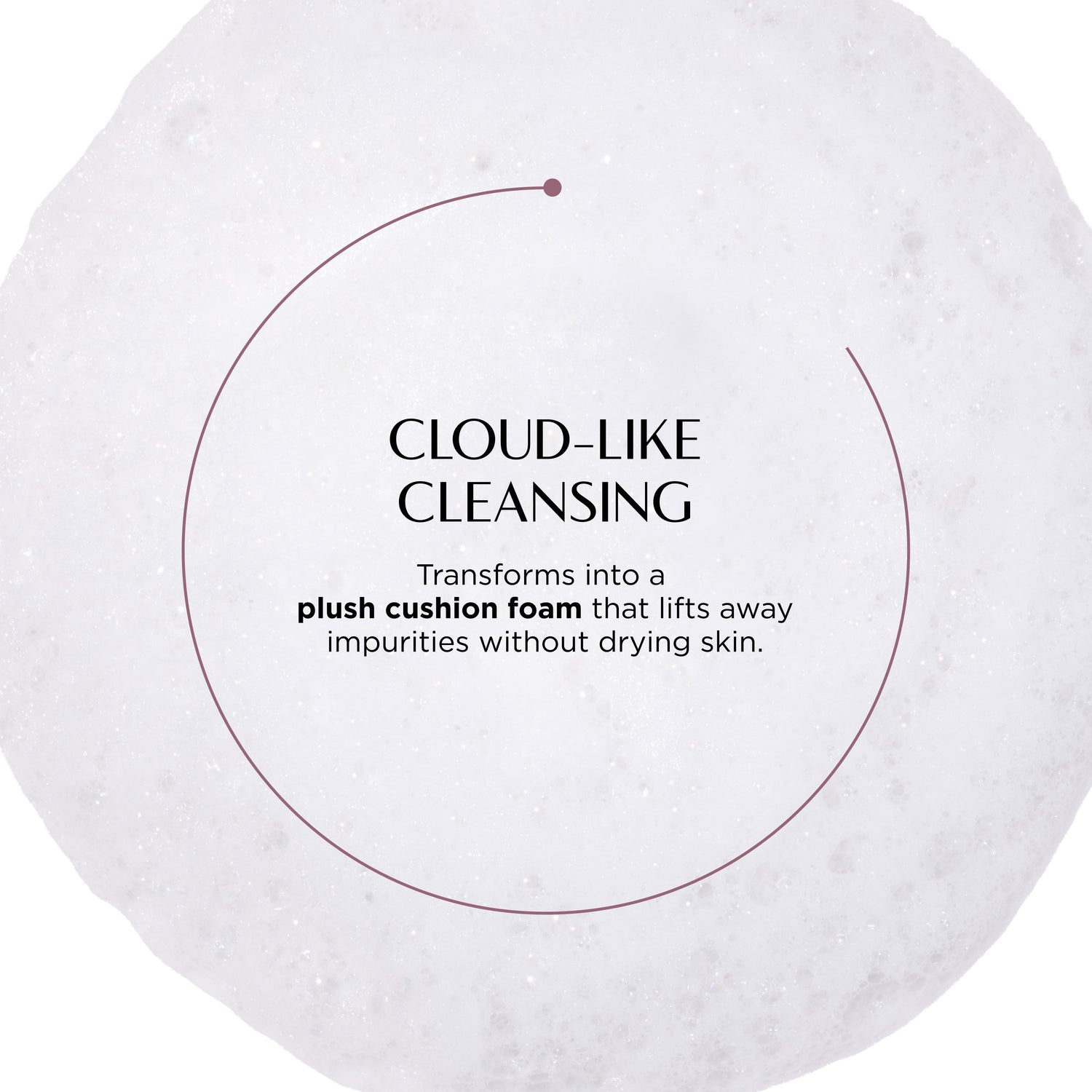 Cushion with text describing cloud-like cleansing and plush cushion foam properties