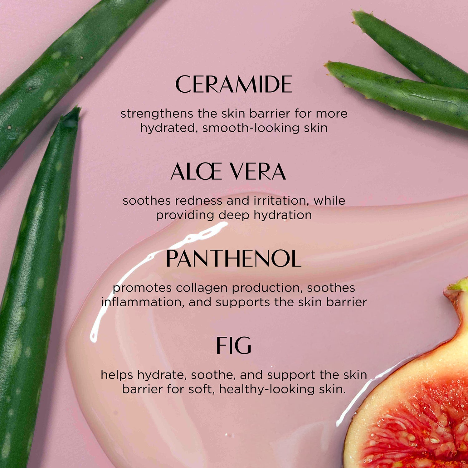 Skincare ingredients with aloe vera leaves, panthenol, and fig on a pink background