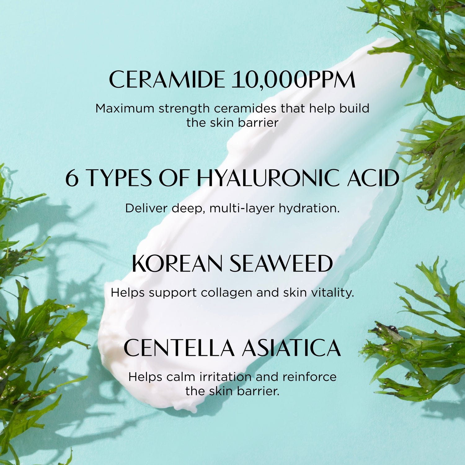Product with text about ceramides, hyaluronic acid, Korean seaweed, and Centella Asiatica on a light blue background.