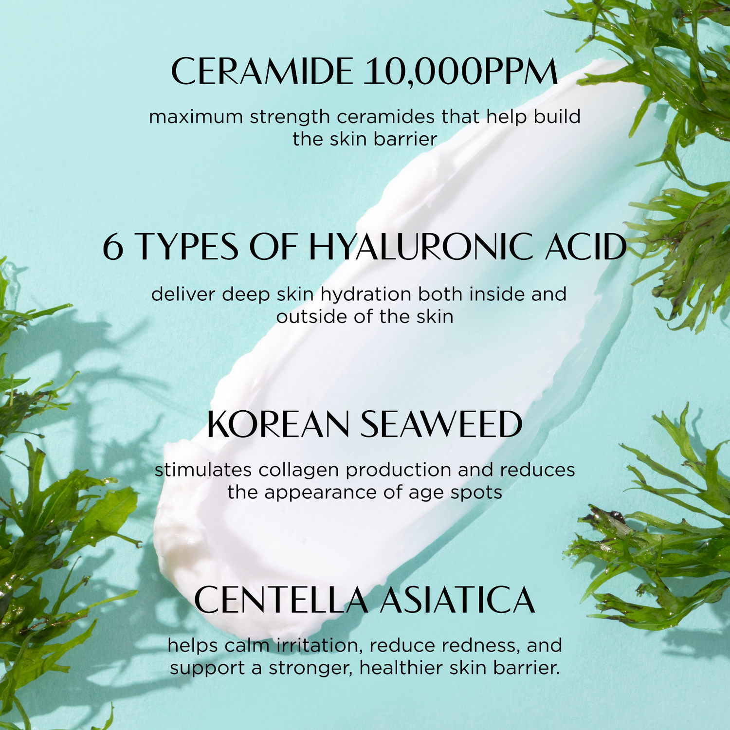 Product packaging with text about ceramides, hyaluronic acid, Korean seaweed, and Centella Asiatica on a light blue background.