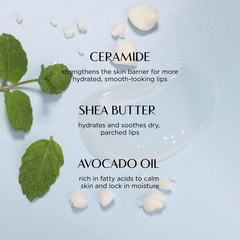 Lip balm with natural ingredients like shea butter, avocado oil, and green leaves on a light blue background.