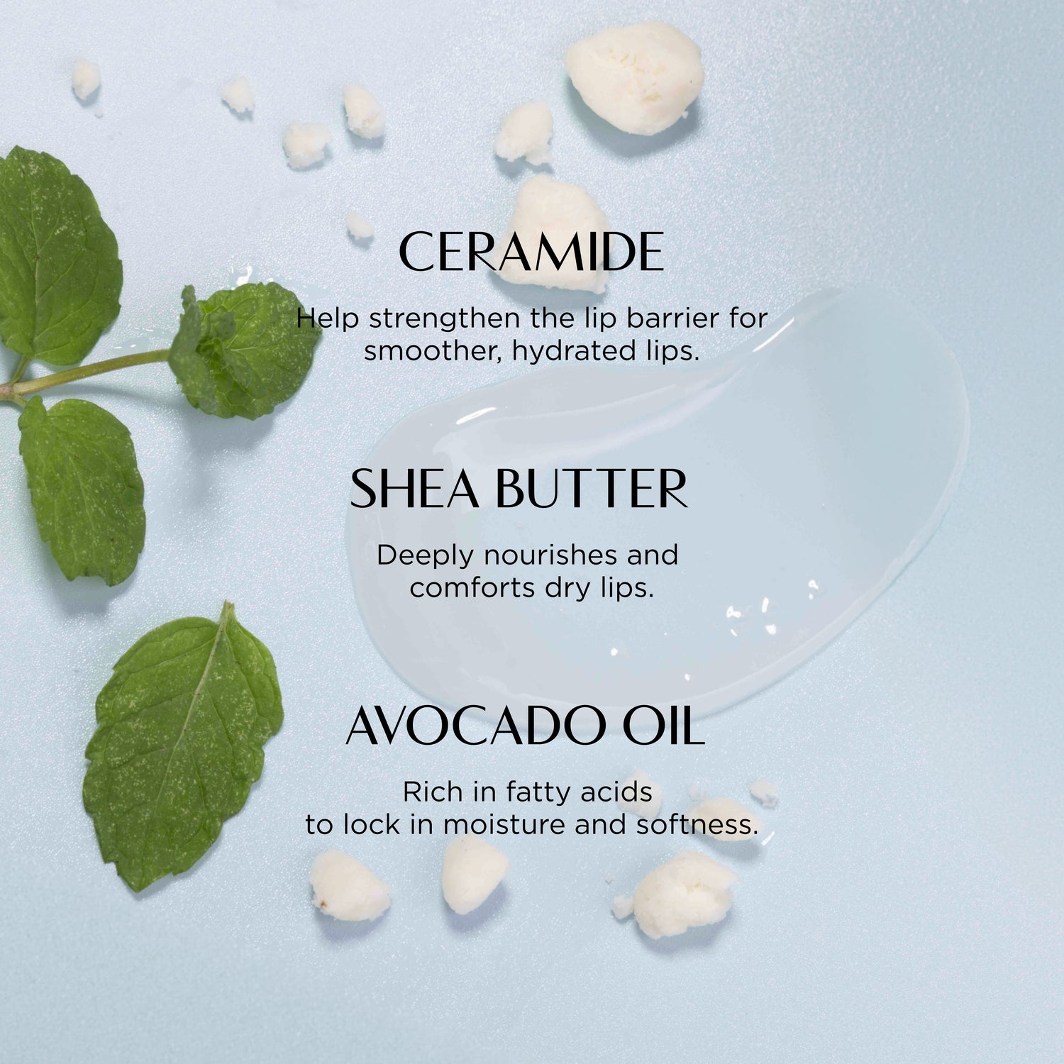 Lip balm with shea butter, avocado oil, and ceramide on a light blue background