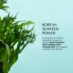 Korean seaweed with text about its benefits on a light blue background