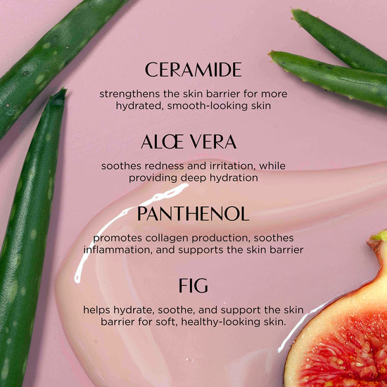 Skincare ingredients with aloe vera leaves, panthenol, and fig on a pink background