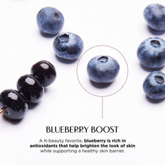 Blueberries on a white background with text about blueberry benefits.
